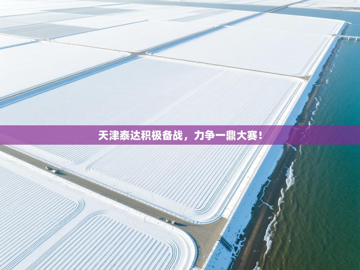 天津泰达积极备战,力争一鼎大赛! 第2张