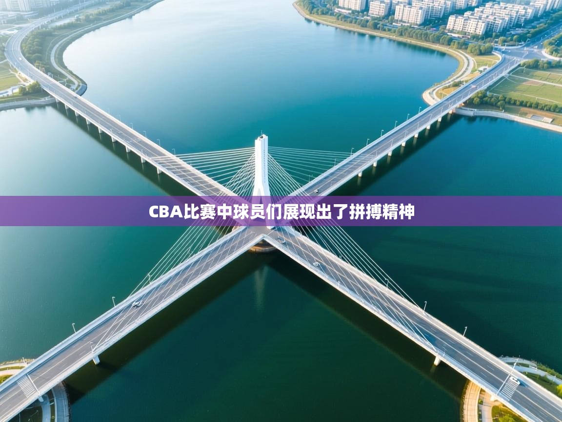 CBA比赛中球员们展现出了拼搏精神  第2张