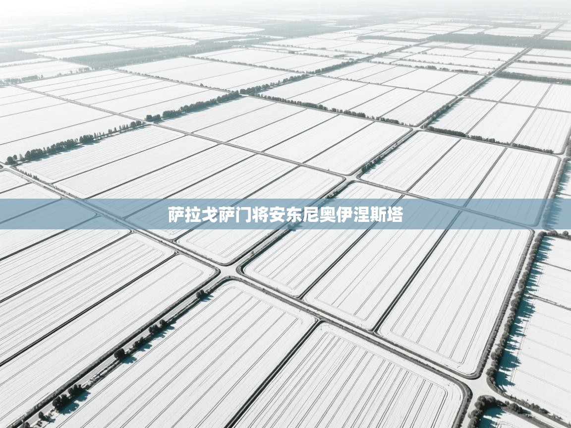 萨拉戈萨门将安东尼奥伊涅斯塔  第2张