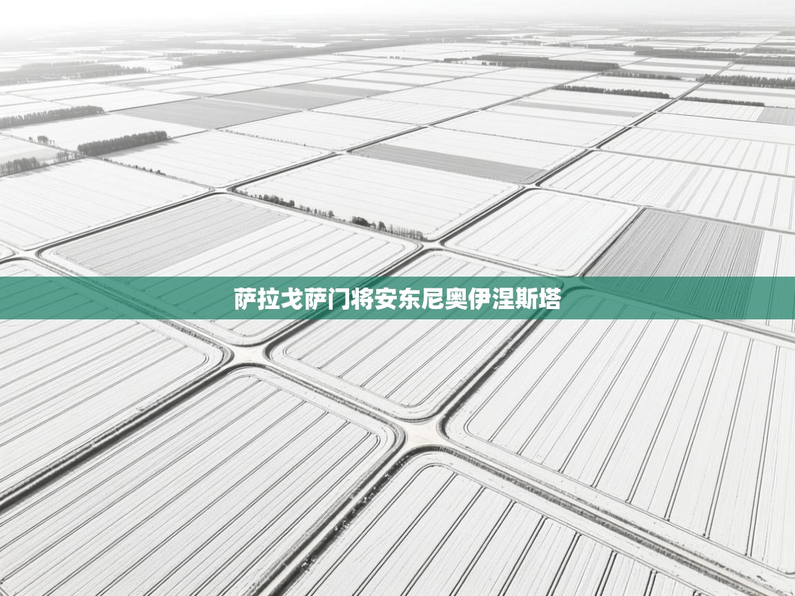 萨拉戈萨门将安东尼奥伊涅斯塔  第1张