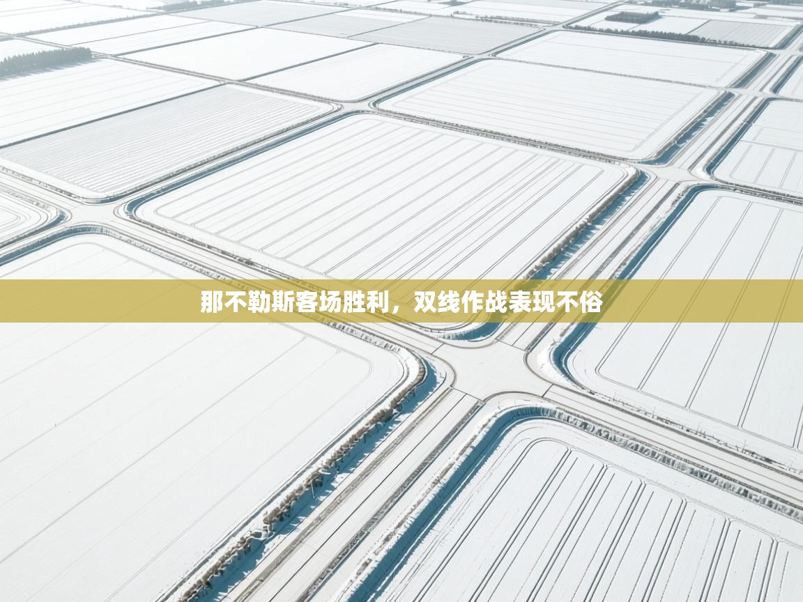 那不勒斯客场胜利,双线作战表现不俗 第2张