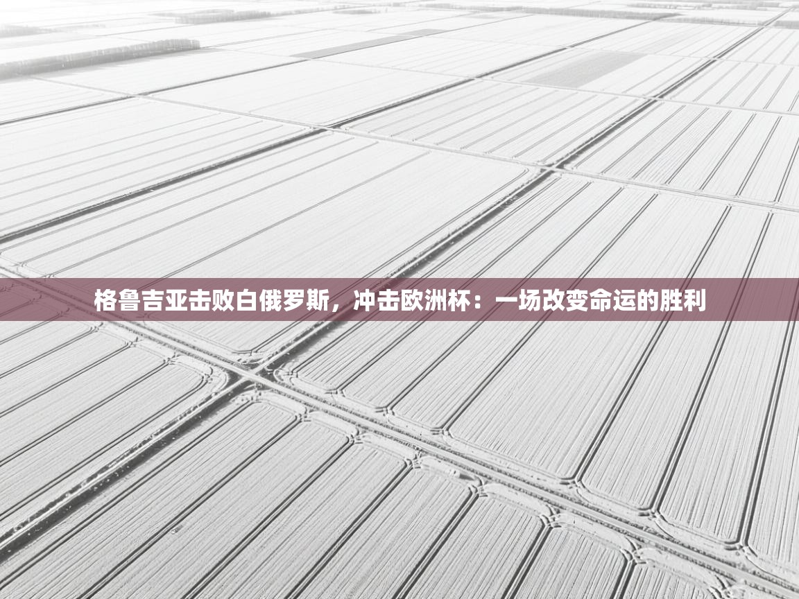 格鲁吉亚击败白俄罗斯，冲击欧洲杯：一场改变命运的胜利  第2张