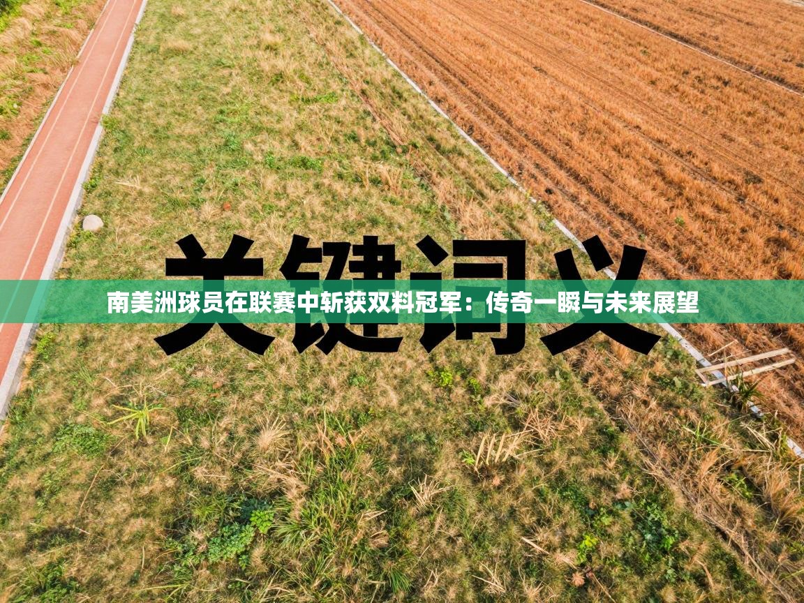 南美洲球员在联赛中斩获双料冠军：传奇一瞬与未来展望  第1张