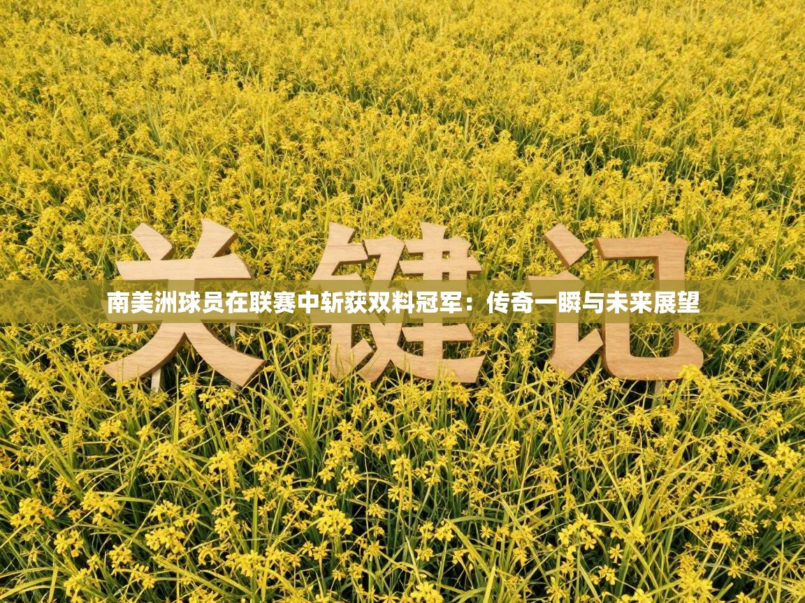 南美洲球员在联赛中斩获双料冠军：传奇一瞬与未来展望  第2张